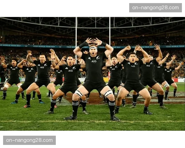 新西兰国家博物馆举办“全黑队：象征与传承”特展，展出跨越百年的珍贵球衣与装备