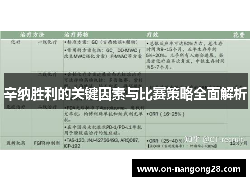 辛纳胜利的关键因素与比赛策略全面解析