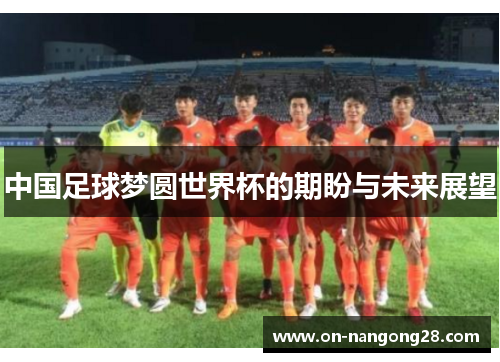 中国足球梦圆世界杯的期盼与未来展望