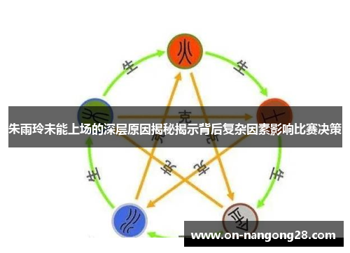 朱雨玲未能上场的深层原因揭秘揭示背后复杂因素影响比赛决策
